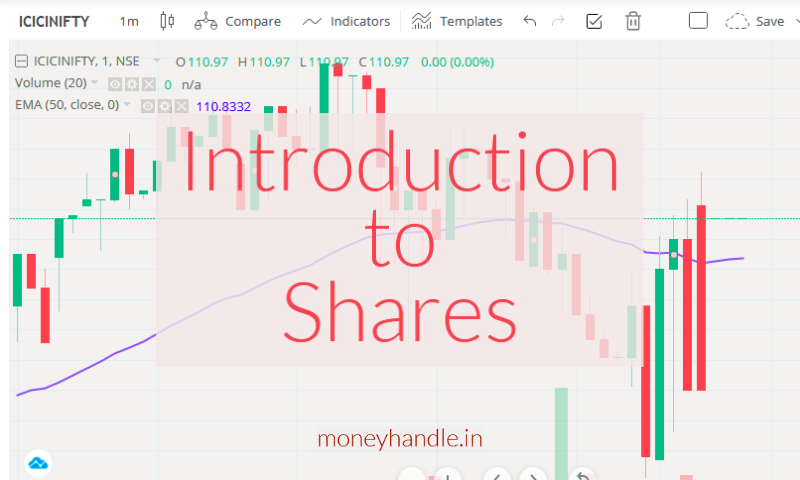 Read more about the article Introduction to shares/stocks